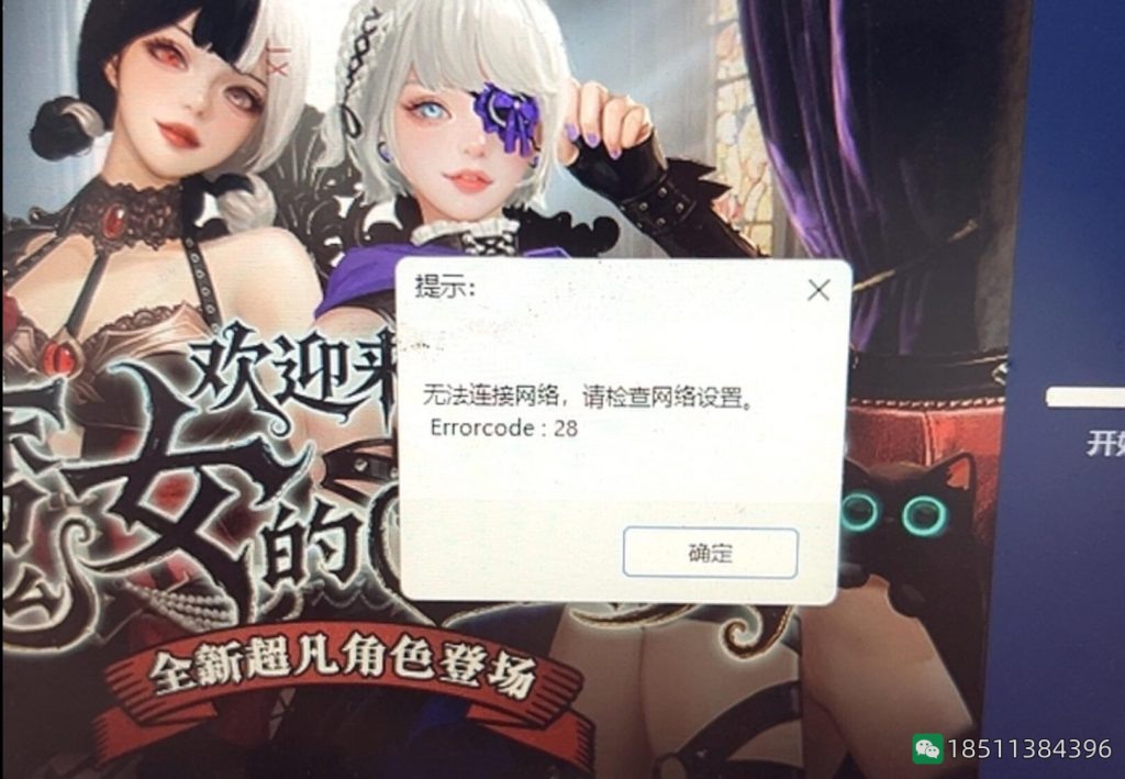 CSOL提示“无法连接网络，请检查网络设置。Errorcode:28”-猫咪E站