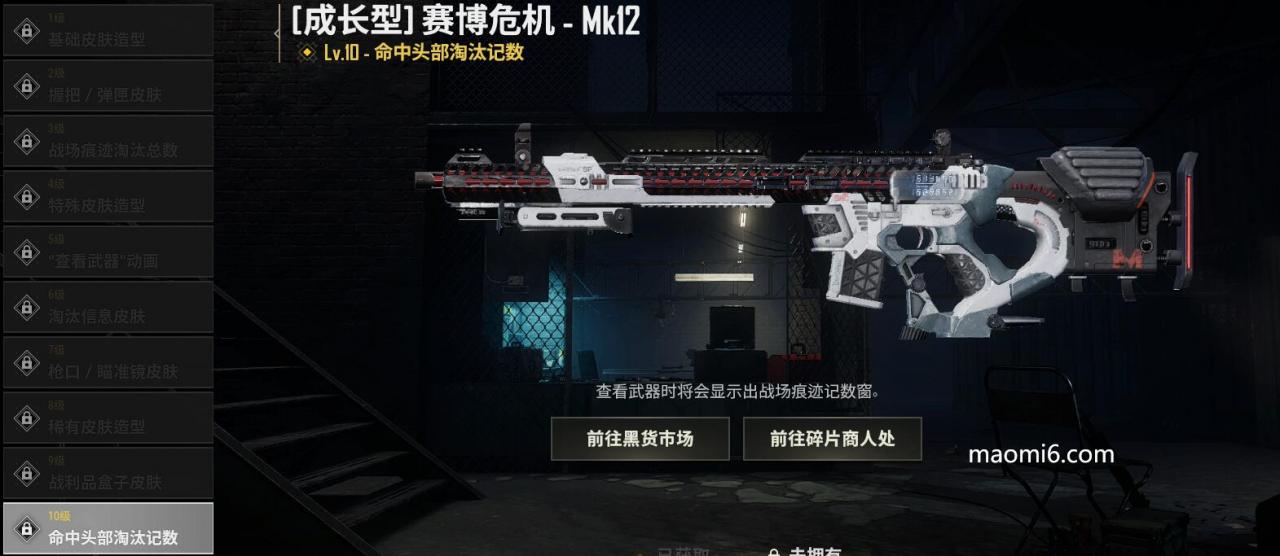 绝地求生PUBG成长型武器赛博危机Mk12等级不同有什么不一样？-猫咪网络