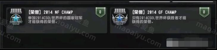 反恐精英CSOL2014 NF CHAMP世界冠军称号怎么来的？-猫咪网络