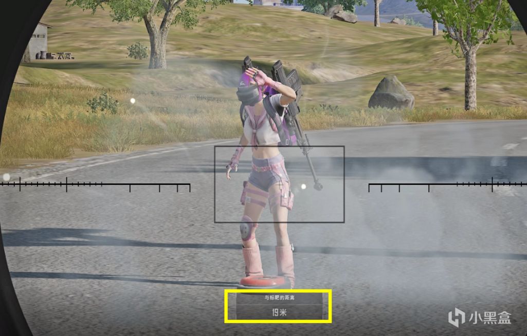 绝地求生PUBG什么才是闪光弹最有效规避方式-猫咪网络