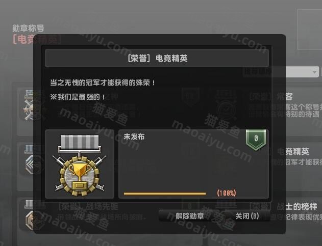 反恐精英CSOL荣誉称号电竞精英怎么获得？-猫咪网络