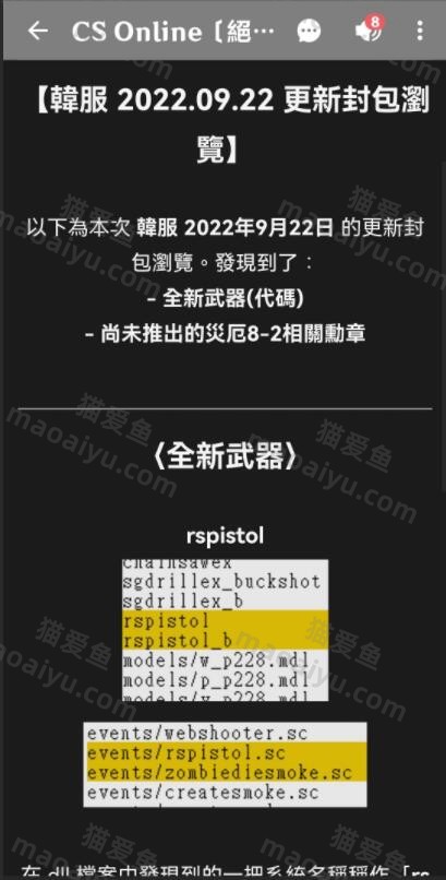 CSOL韩服解包马上又要有新武器出来了-猫咪网络
