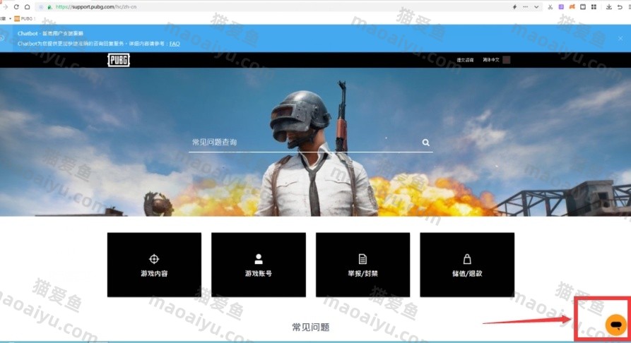 绝地求生PUBG申诉升级 被盗封号解封 误封大几率解封 绝地求生最新申诉解封教程-猫咪网络