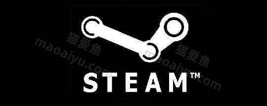 什么是steam，steam备用码在哪儿看呢？-猫咪网络