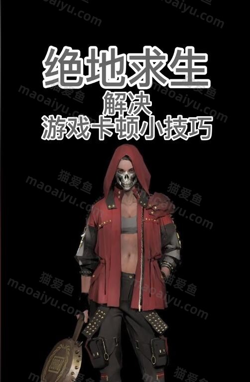 绝地求生PUBG解决游戏卡顿问题解决方法教程-猫咪网络