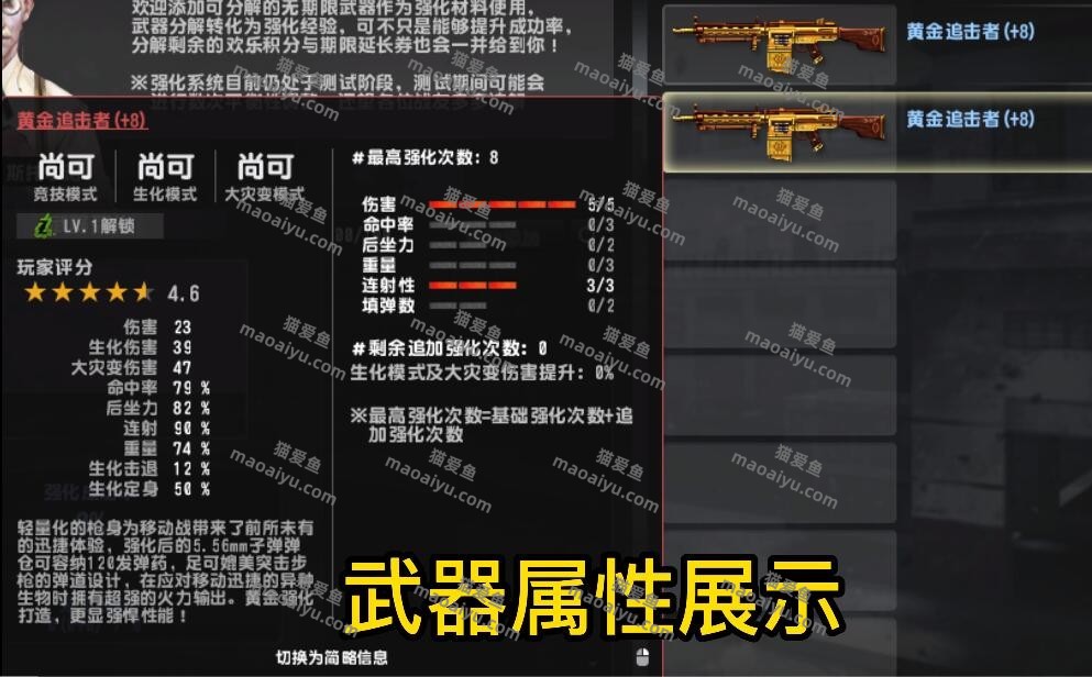 《CSOL》+8黄金追击者5伤害3连射属性评测-猫咪网络