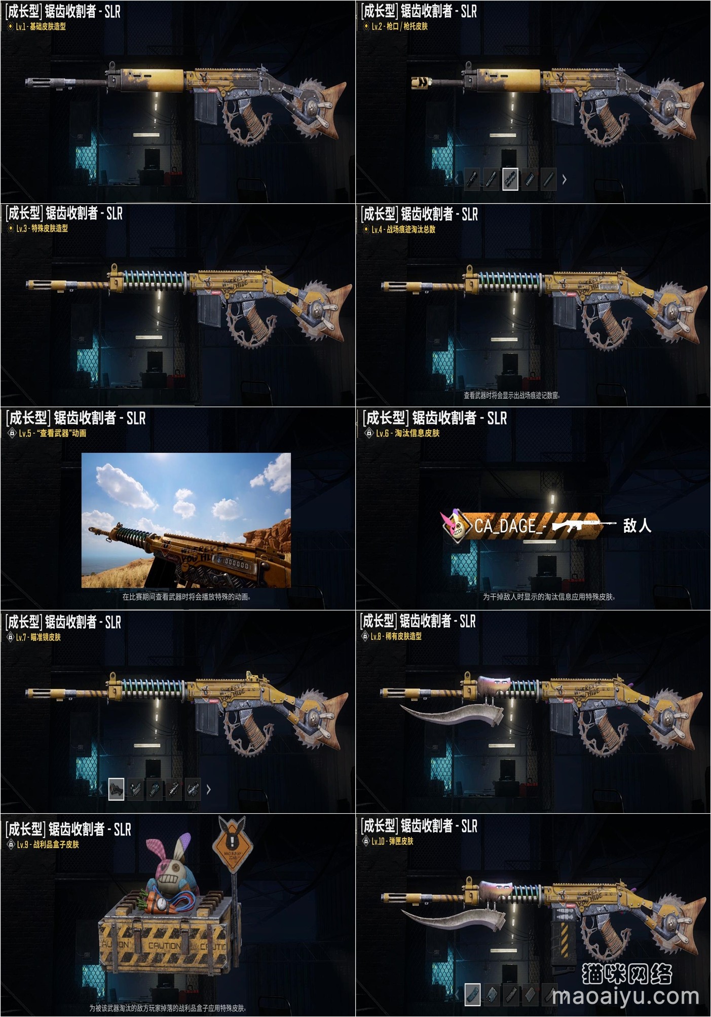 《绝地求生》PUBG成长武器大炮锯齿收割者SLR从1到10级区别-猫咪网络
