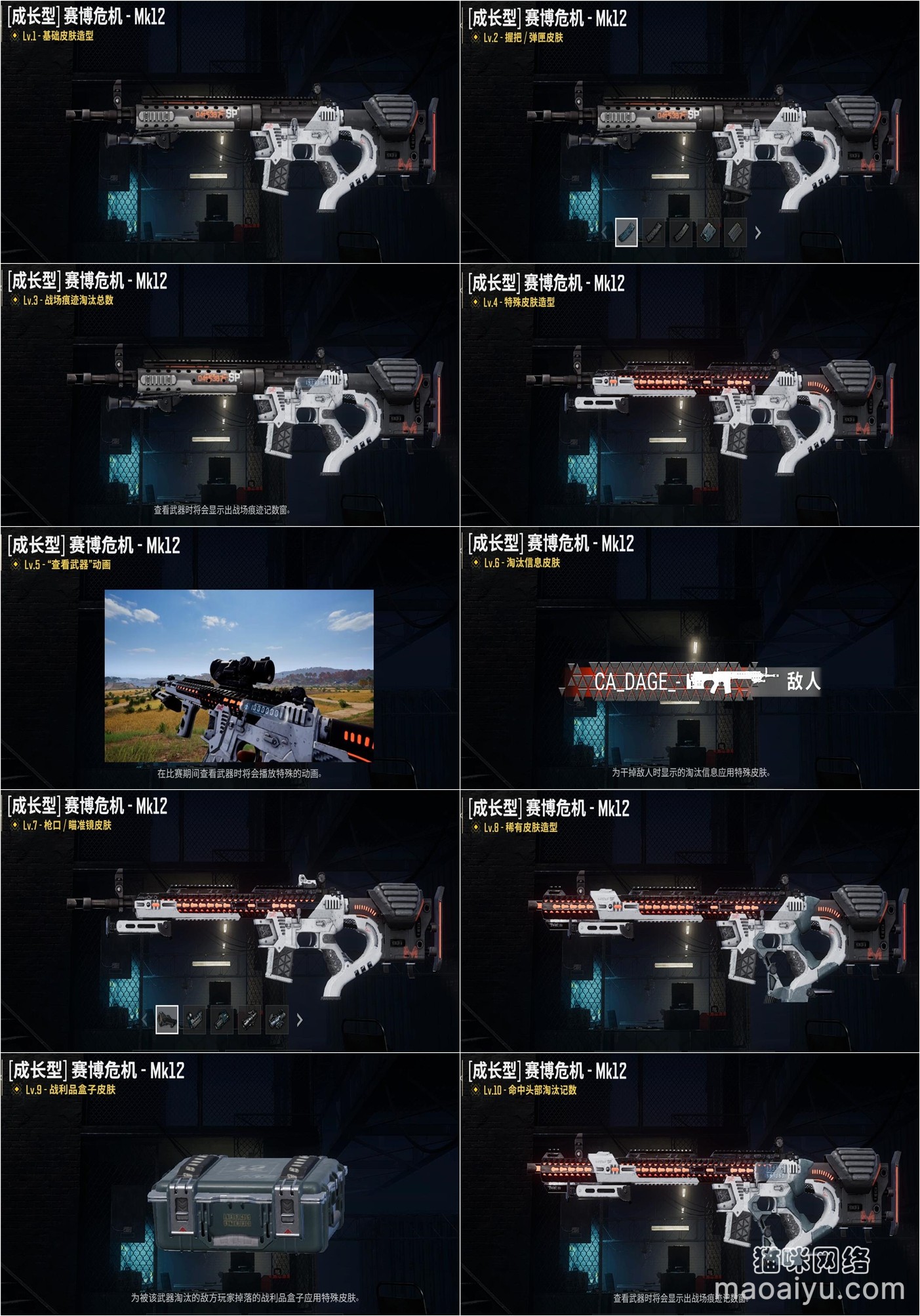 《绝地求生》PUBG赛博危机MK12等级1到10级区别-猫咪网络
