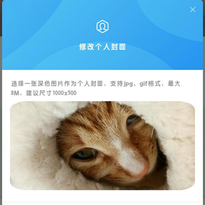 《关于我有点恨站长这件事》别说了  我还不容易更新那么多  倒是他发的贼多  我到时候看看能不能自裁他-猫咪网络