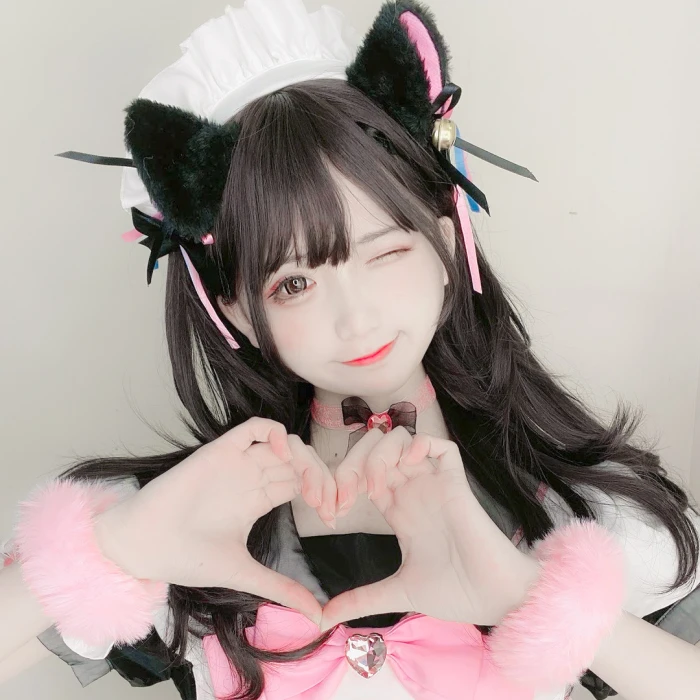 今天也在这里蹭流量/.-猫咪网络