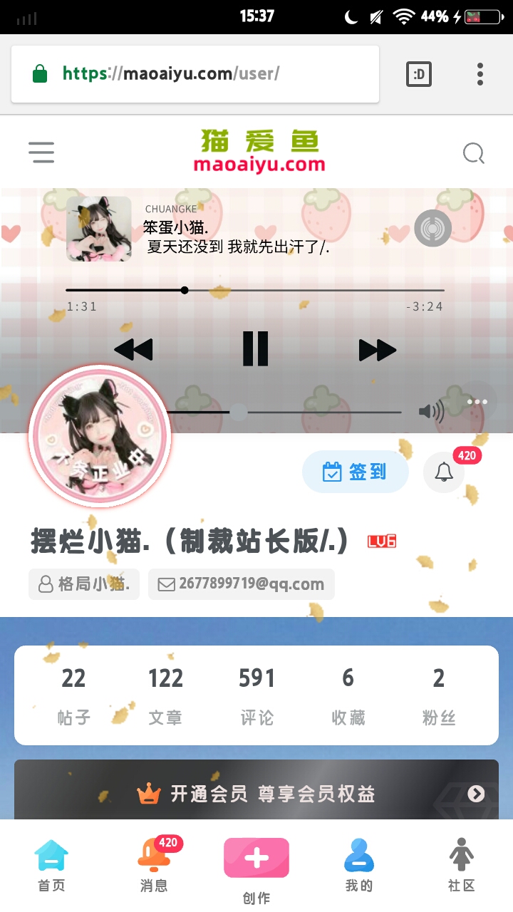 关于我的个人主页突然变成这个样子了-猫咪网络