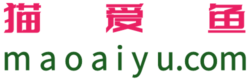 猫咪网络